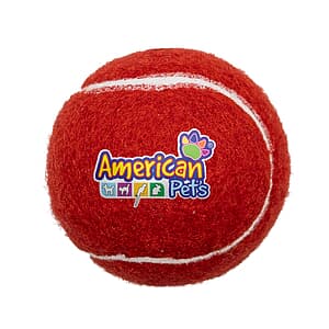 Pet Fetch Toy Tennis Ball (4CP)